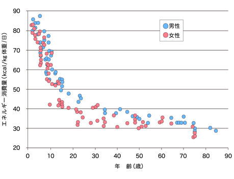 年齢と基礎代謝の関係